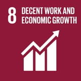 SDG Goal 8
