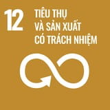 Mục tiêu SDG số 12