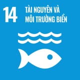 Mục tiêu SDG 14